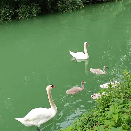 Lägenhet Proche Gare Et Centre-ville, Parking Gratuit Et Facile, Wifi *
