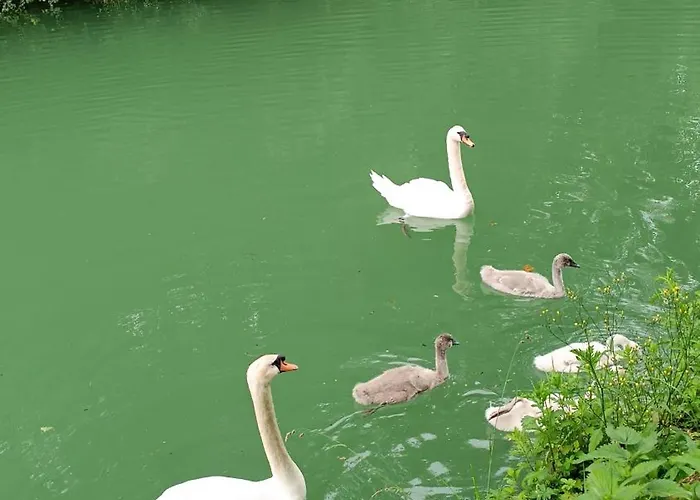 Lägenhet Proche Gare Et Centre-ville, Parking Gratuit Et Facile, Wifi *